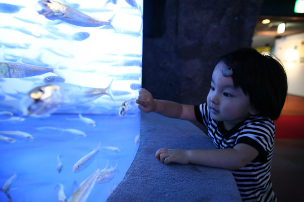 水族館写真