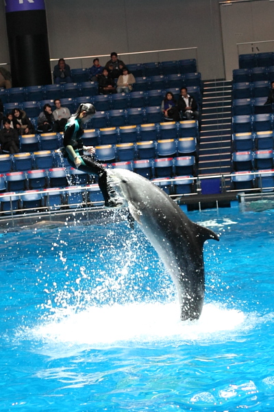 水族館写真