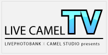 livecamel USTREAM